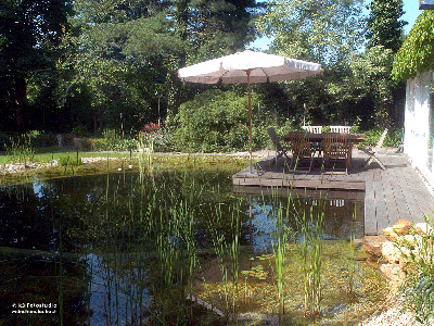 Schwimmteich